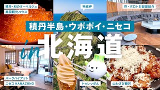 ［ Sub｜北海道 ］穴場スポット多め！まちがいなく推せる珠玉の宿3軒巡った3泊4日｜積丹半島｜神威岬｜白老｜苫小牧｜ニセコ｜美国観光ハウス｜界ポロト｜パークハイアット｜ウポポイ｜豚丼名人