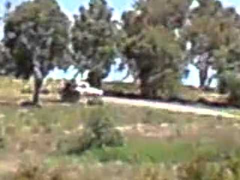 Thumbnail for Mazda 121 dog kennel at SDMA hillclimb #3 by Mazda 121