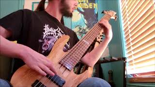 Dismember - Bleed For Me Bass Cover