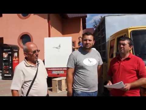 Porumbei Moskova 2013