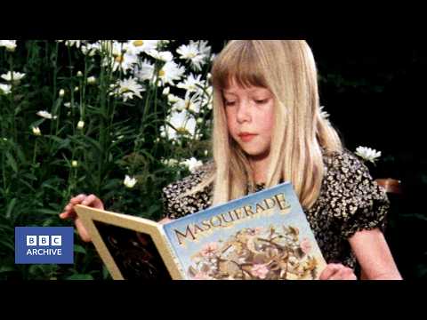 1979年の『Masquerade』宝探しを報じた当時のテレビ番組のサムネイル