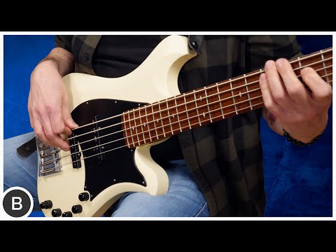 STUNNING 5-STRING FROM BACCI GUITARS !!