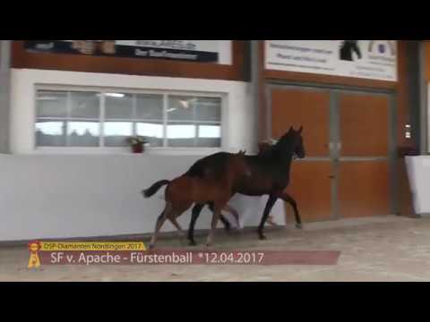 KN 01 Peppy GE Sf v. Apache -  Fürstenball