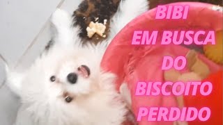 ESCONDENDO COMIDA EM BAIXO DO #COLCHO