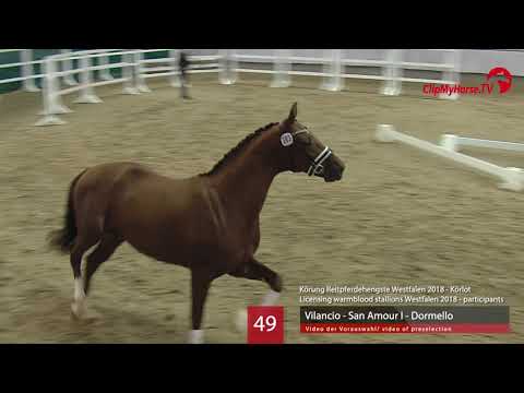 49 Hengst v. Vilancio - San Amour I - Dormello