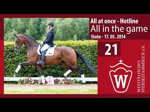 21 All in the game  Stute v. All at Once - Hotline