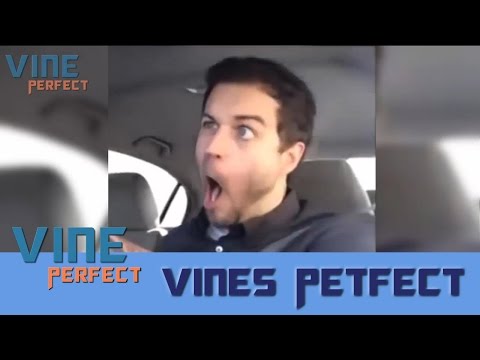 Best Vines of May 2015 | Compilation Part 2 - Vine Perfect