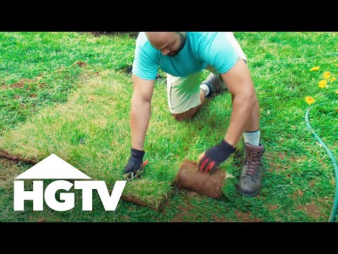 Way to Grow: Patch Up the Lawn With Sod | HGTV