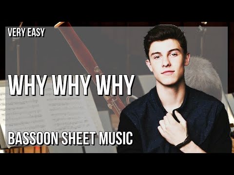 SUPER EASY Bassoon Sheet Music: How to play Why Why Why  by Shawn Mendes