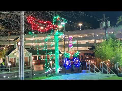 Turtle Back Zoo Holiday Lights