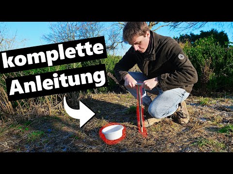 BODENPROBEN im Garten - so nimmst du sie und das sagen sie dir 🌱