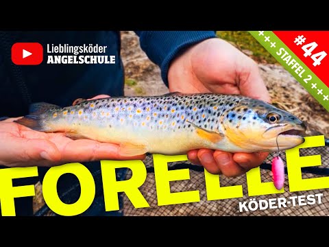 Forellenköder-Test am Forellensee 🎣🔥🐟