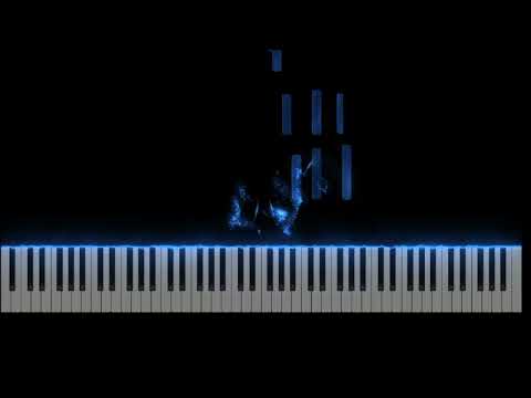 Paraíba Joia Rara - Morais do Acordeon