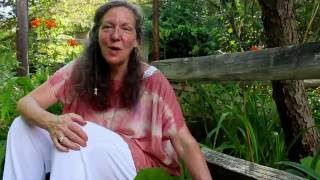 Plant Medicines Series: Coltsfoot