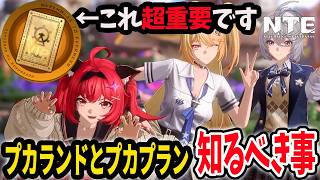 損する前に！超重要なアイテムとプカプランについて解説します【NTENeverness to Everness】#NTE #NTEcreator