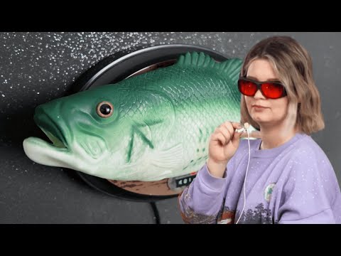 DIY Smart Home: Die 5 absurdesten Automationen in meinem Zuhause