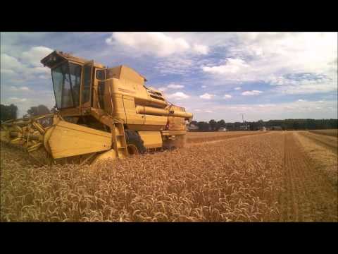 moisson du blé 2016