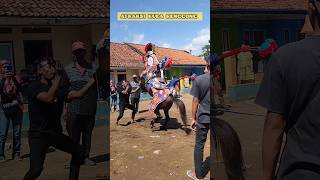 Download lagu Atraksi kuda renggong #shorts #kudarenggong mp3