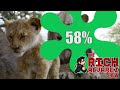 Lion King Getting Rotten Score By Critics 58 TOMATOMETER Rotten Tomatoes