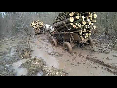 Florian de la plataresti