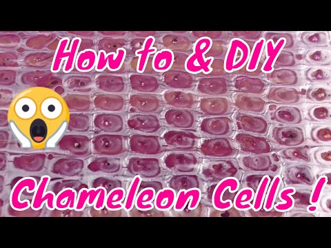 How to & DIY Acrylic Chameleon Cells ! Chameleon Cells Fluid Art Technique !