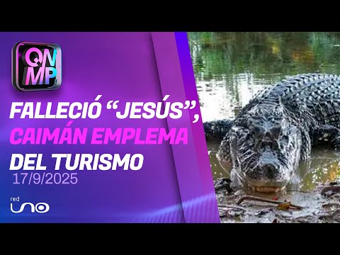 Fallece “Jesús”, caimán negro icónico de Santa Rosa de Yacuma, en Que No Me Pierda