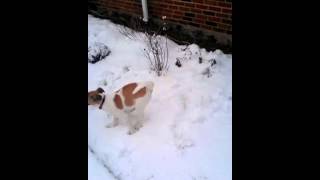 Leave that dog alone lol