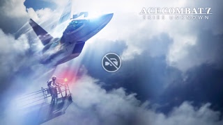 Acecombat初見