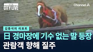 [김종석의 리포트]日 경마장에 기수 없는 말 등장…관람객 향해 질주