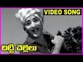 Chitti Chellelu Telugu Super Hit Video Song NTR Vanisri Rajasri Haranath