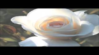 Chante Moore - Love&#39;s Supreme