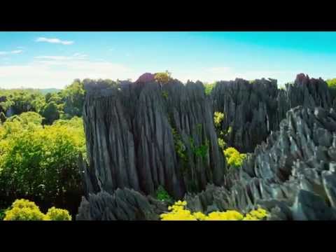 Madagascar 3D: L'île des Lémuriens au cinéma IMAX TELUS