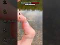 Ranking The Funniest Fish Moments Part 5