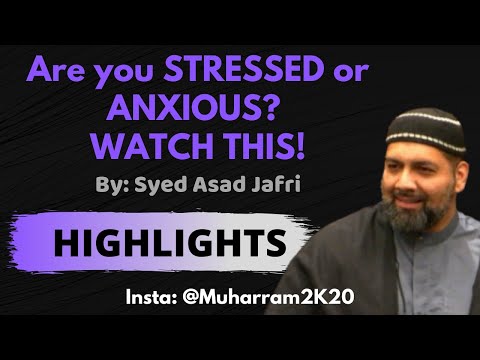 Why do we get stressed & anxious? (LECTURE HIGHLIGHTS) - Syed Asad Jafri