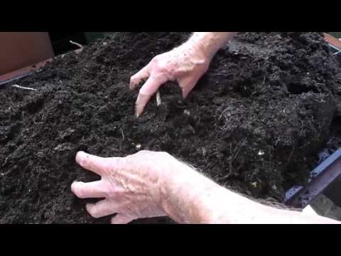 Baz's hobbies - 23V - Jazzy Potatoes in a Bucket