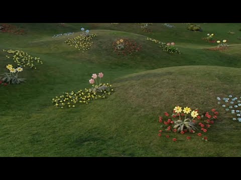 Teletubbyland Shot (Building a Barbeque) Style (1)