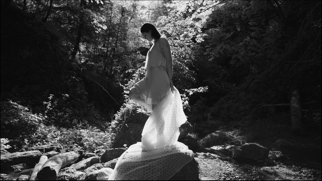 GreyNoise — Anima