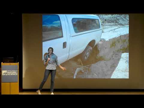 Science Division Pop-up Lecture: Digging Up Dinosaurs 101
