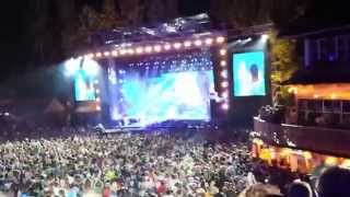 Wilds Wasser - Die Seer