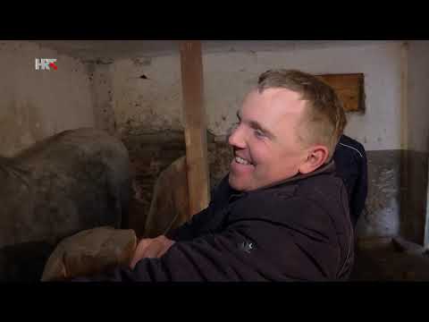 TRAGEDIJA IVANA MIKULJANA