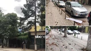 “Çmendet” moti në Kukës: Erërat e forta marrin çdo gjë përpara, qyteti i shkretuar |ABC News Albania