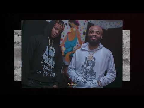 TCHAP0 & LITVYBEZ - DEMOCRAZY [illustration video]