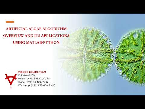 Artificial Algae Algorithm Overview And Its Applications Using Matlab Python