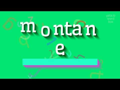 How to say "montane"! (High Quality Voices)