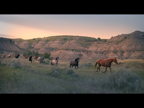 Run With Me - Official Music Video - Wild Horse Song