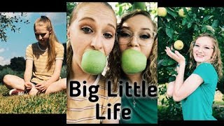 Big Little Life - Mikey Wax [Sign Language Cover]
