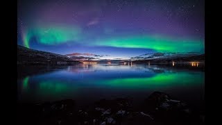 Skies Over Norway - Blacksmith Rose