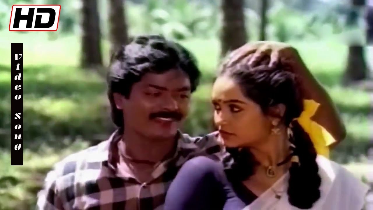 Soru Thinnu Naalachu Song Lyrics | Ninaivu Chinnam | Malaysia Vasudevan, Senthil