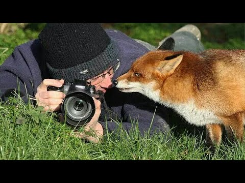 Incredible Wild Animals Surprised Photographers in an Unexpected Way 🤪