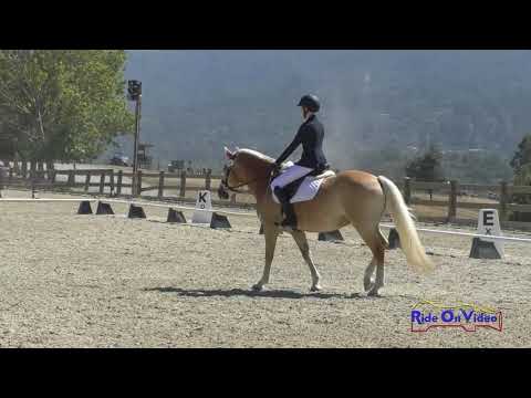 192D Tessa Welliver on Creme Brulee Intro Rider Dressage Woodside August 2020